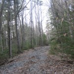 The trail that gave Dawn fits...before taking the class.