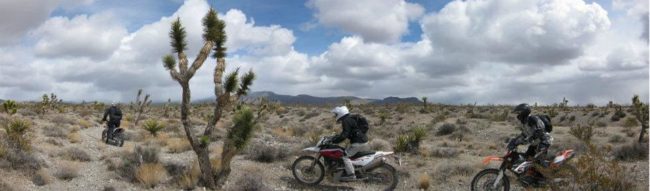 jon beck photo 11